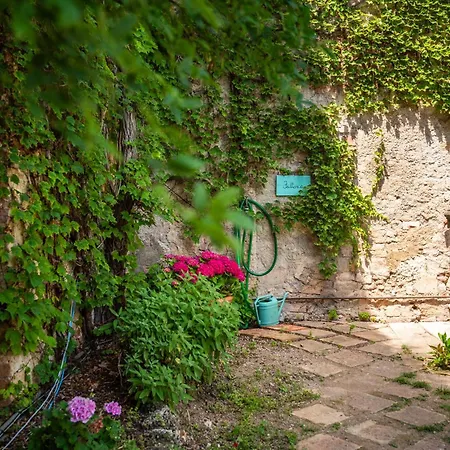 Tenuta Bichi Borghesi Monteriggioni