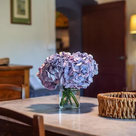 Appartement Tenuta Bichi Borghesi *